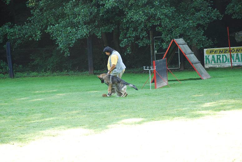DSC_3472.JPG