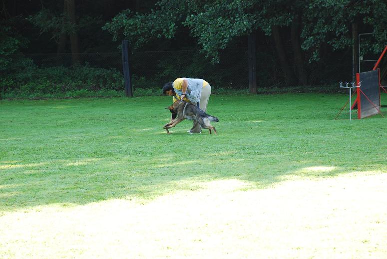 DSC_3473.JPG