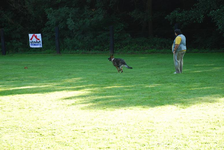 DSC_3475.JPG