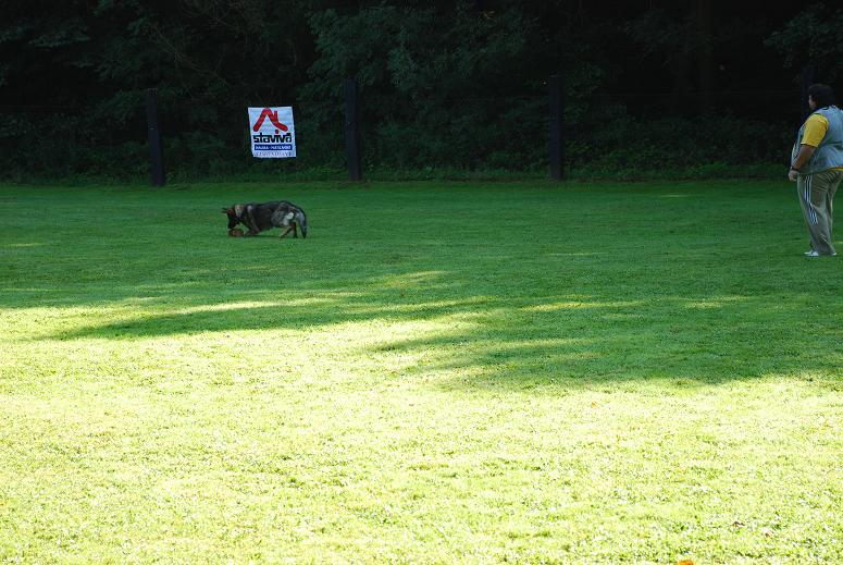 DSC_3476.JPG