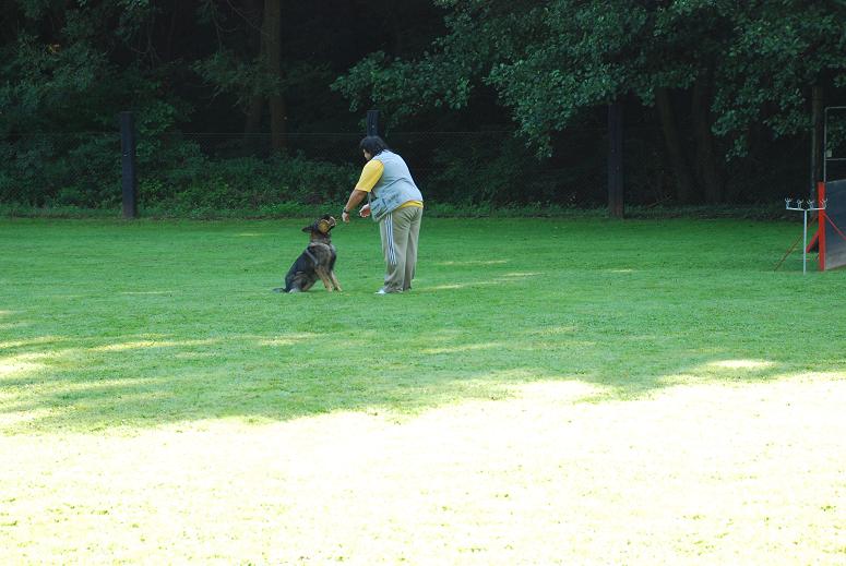 DSC_3477.JPG