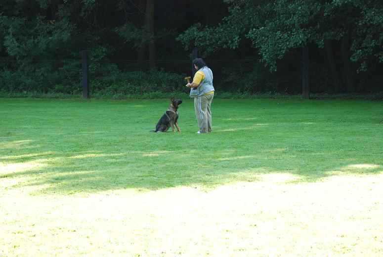 DSC_3478.JPG