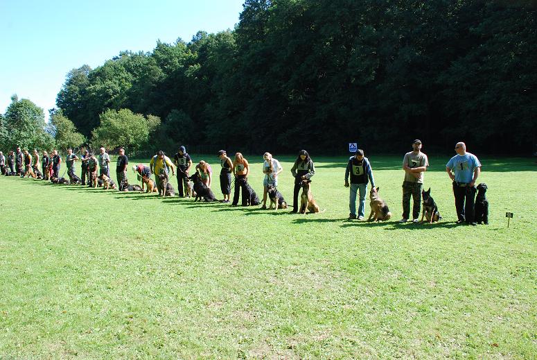 DSC_3479.JPG