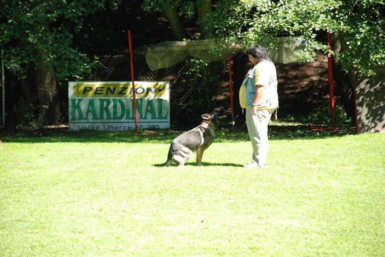 DSC_3514.JPG