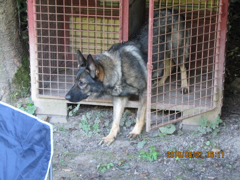 Kolačno_(222).JPG