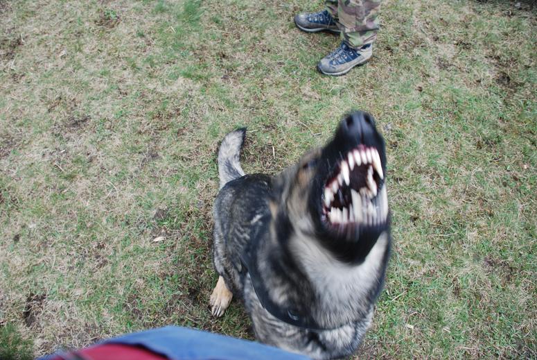 DSC_2795.JPG