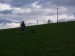 P4171004.JPG